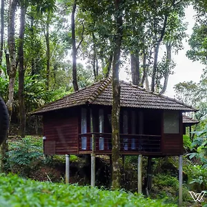 Lantern - A Wandertrails Showcase Meppadi